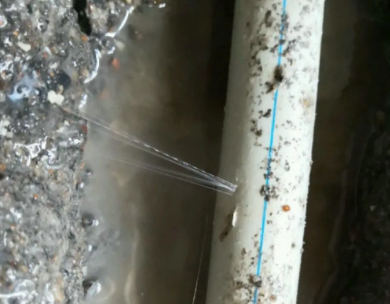 攸县测漏水哪家好