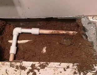 攸县测漏水哪家好