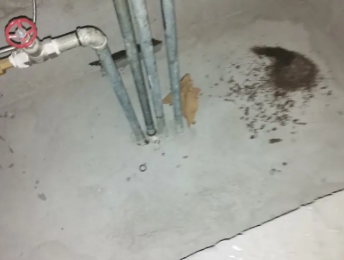 攸县卫生间测漏水价格明细