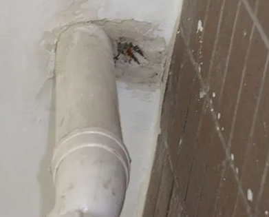 攸县漏水检测哪家好